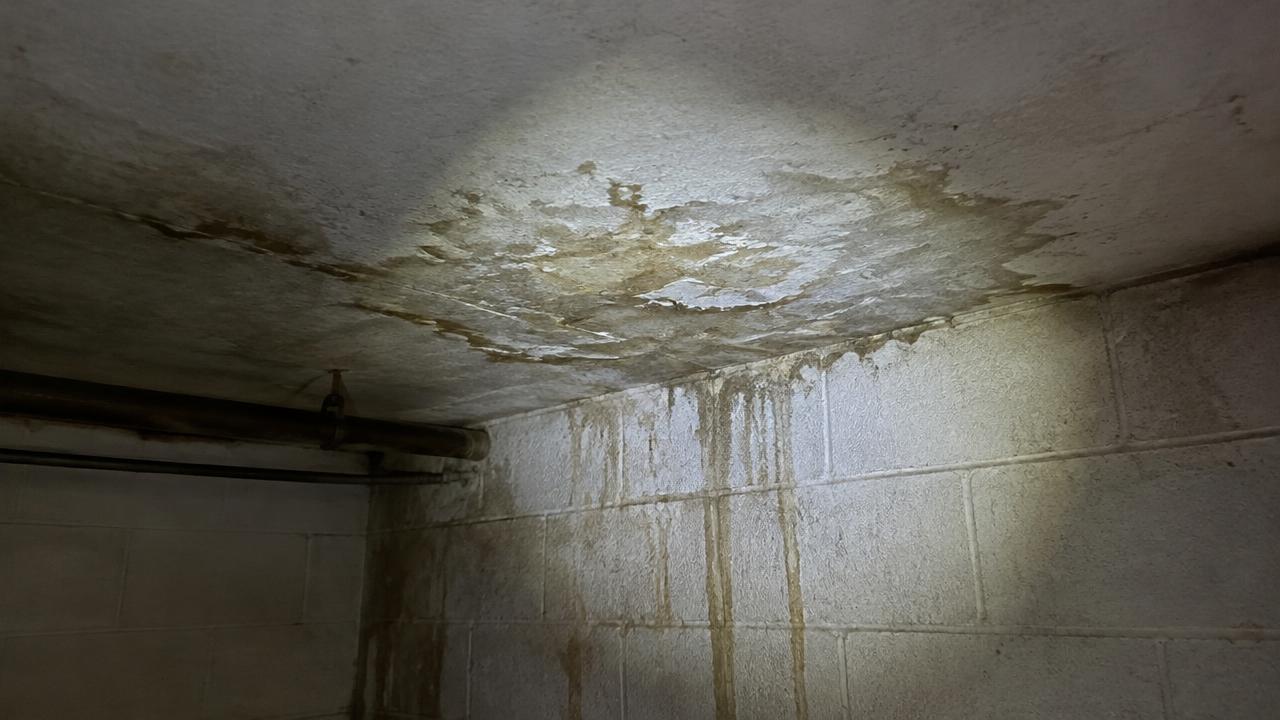 Water staining on a basement ceiling, a common appraisal red flag